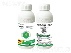 48%���ݰ������fͪ�����݃�-�f����-�f��