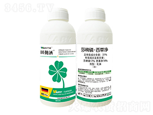 31%ɯ���ס����݃�-���-�f��