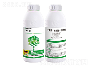 75%���ݰ���������������¡-���{-�f��