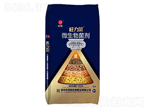 ������΢�������-���