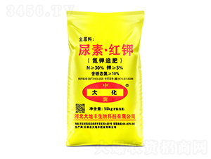 ���ء��t�-�м���-����S