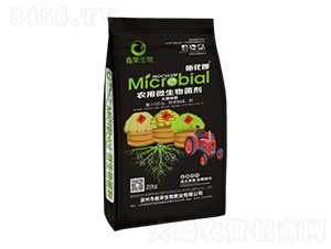 �����H�r��΢�������-ʩ����-�Θs����