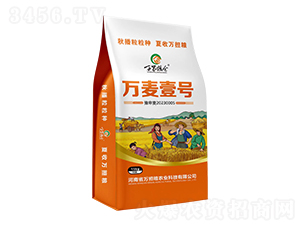 萬麥壹號15kg-小麥種子-萬擔糧