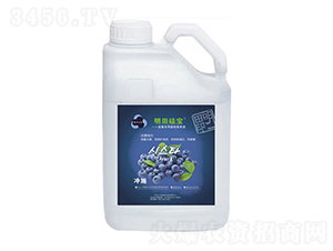 �{ݮ����ֲ��I�BҺ-����茚-���ζ