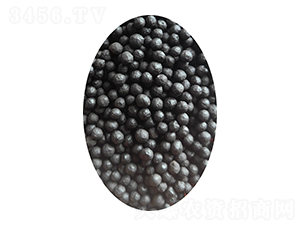 �󶹇��{�����w��-�����ַʘI