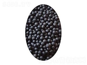 �S����΢����������{�w��-�����ַʘI