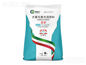 ����ʹ���Ԫ��ˮ�ܷ���11-5-40+TE-Ӣ��-��ɭԪ