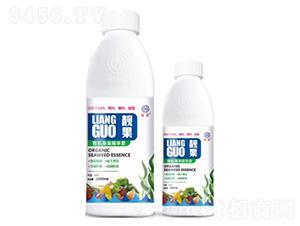 �ЙC���徫�A��-�n��-��ï���� 