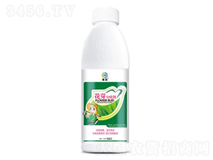 ��ѿ�ֻ���-��ï����