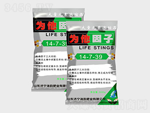 ����Ԫ�؝�s��������14-7-39-�������