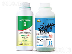 �ߝ�s�Ǵ���-��˹��