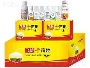 С���w�����a���g�����ײ�-�w��ʮ����-ِ���r�I