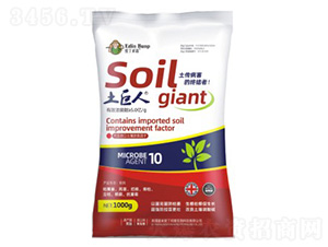 ������-�۶�����