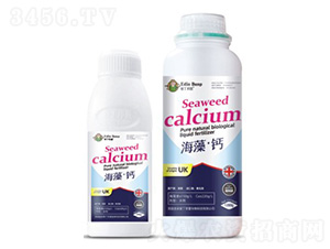 ���塤�}-�۶�����