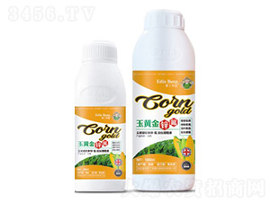 ���S���\��-�۶�����