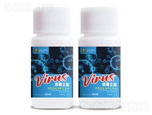 ����ȫ��-�۶�����