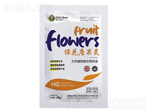 ���������`-�۶�����