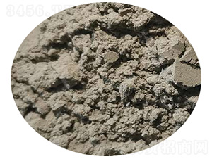 �����{�턩-���^����