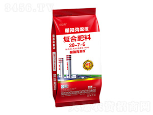 �����ͺϷ���28-7-5-��ꖜ��p��-�G���ʘI