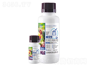 ���o�n-�r(n��ng)����������-ʢ��¡��