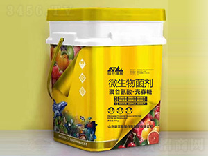 ΢�������-�۹Ȱ��ᡤ������-ʢ��¡��