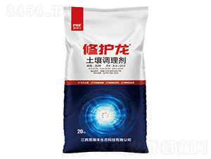 �����{�턩-���o��-�����S