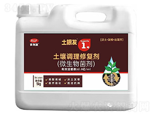 �����{���ޏ̈́�(΢�������)-�����l1̖-�r���l