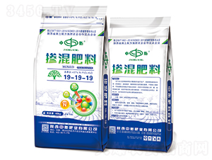 �������19-19-19�����ȣ�-�к�