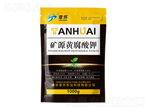 �VԴ�S�����-�����r�I