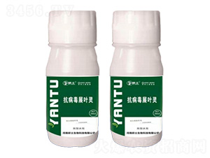 ������չ�~�`-��������