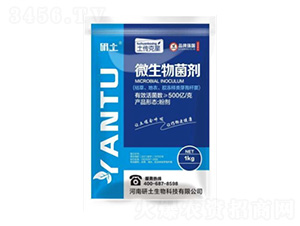 ΢�������-��������-��������