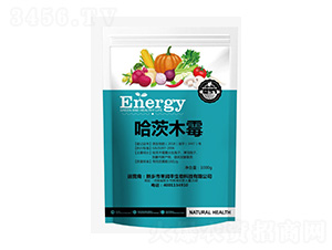 ����ľù-���r(sh��)��