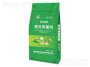 ΢�������-�ͅf�׉�-�ͅf����