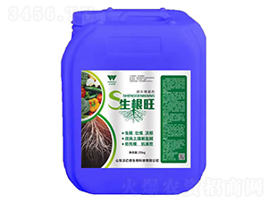 ������΢�������-�֠���