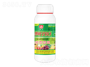 華葉PBO果樹促控葉面肥（水劑）-雷力佳化