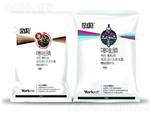 10%������w����-����/�վ�-�s���r��