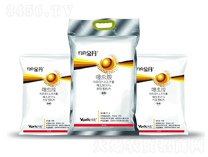 0.5%���x���w����-�s�˽�-�s���r��