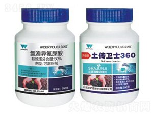 ��������������-�֠���