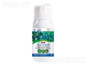 ����������΢�������-����-�֠���(y��u)