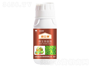 ��(x��)����΢�������-�֠���(y��u)