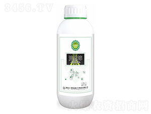 ���w�\-��(r��n)�ژ�(l��)--̩����