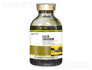 ��ϼ�(x��)������-��(x��)�|(zh��)-̩����