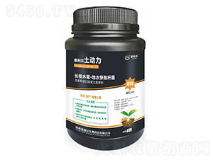 ΢�������-������-̩����