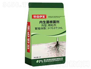 ������������-��������-���ѿƼ�