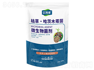 �ݲݡ�����ľù��-�|ķ��