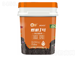 ����1̖΢�������-��������