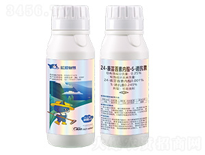 0.25%24-���|̦�؃�����S-�T���ؿ���Һ��300g-�{؈�ǻ�