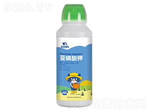 �������00-520-340+TE-�{(l��n)؈�ǻ�