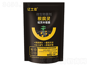 �����`-�|����-�����r(n��ng)�I(y��)