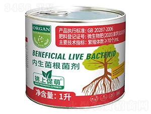 ������������-�\�ϴ���-����